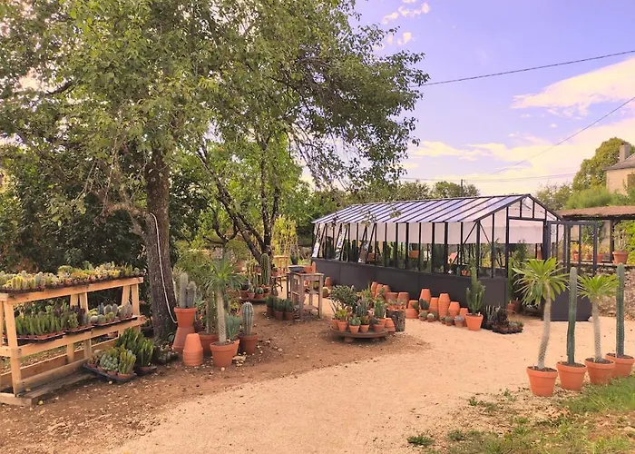 Le Cactus Orange Chambre D\'Hote Entree Independante